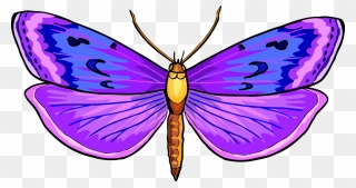Vhs Butterfly Png Clipart