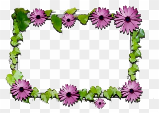 Transparent Free Clipart Flowers - Chrysanthemum - Png Download