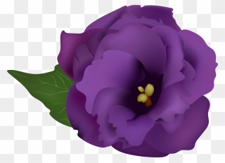 Purple Flowerpng Transparent Clip Art Image - Png Purple Flowers Drawing