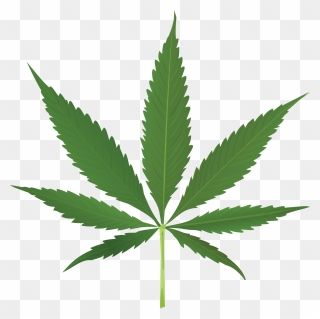 Cannabis Leaf Transparent Background Clipart