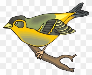 Goldfinch Svg Clip Arts - Goldfinch Clip Art - Png Download