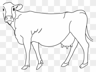 Cow Images Clipart - Dairy Cow - Png Download