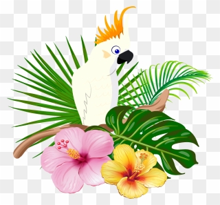 Parrot Clipart Bird Hawaiian - Hawaiian Bird Png Transparent Png