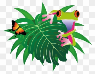 The Jungle Soft Play - Cartoon Clipart
