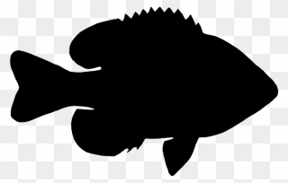 Fish Clip Art Silhouette Black M - Png Download