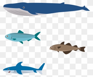 Flat Design Illustration - Flat Design Aquatic Animals Clipart