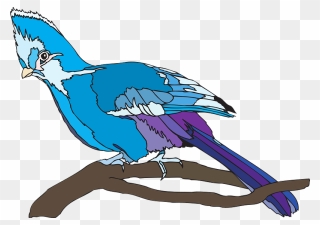 Blue Parrot Clipart - Clip Art - Png Download