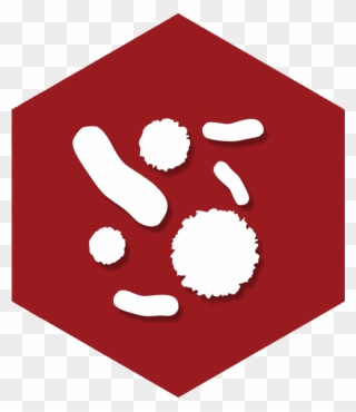 Infectious Diseases - Clipart Software Tools Icon Png Transparent Png