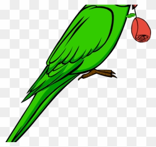 Green Transparent Parrot Clipart - Png Download