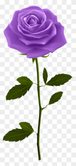 Purple Rose With Stem Clipart