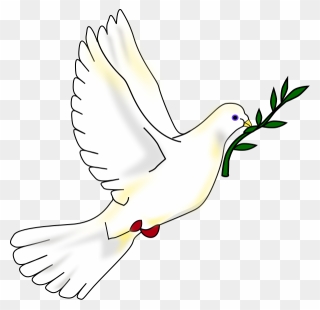 Dove Bird Peace Png Clipart