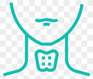 Thyroid - Thyroid Gland Icon Png Clipart