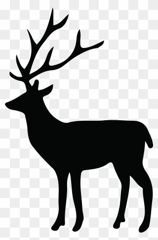 White-tailed Deer Reindeer Whitetail Images - Deer Silhouette Transparent Background Clipart