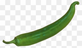 Green Chilli Png - Green Chili Pepper Png Clipart