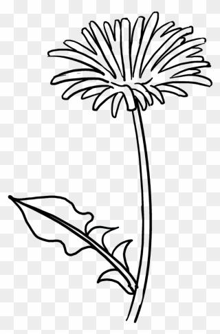 Easy Drawing Guides On Twitter Would You Like To Draw - Simple Spring Flowers Drawing Clipart