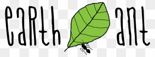 Earth Ant Clipart