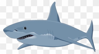 Cartoon Great White Shark Clipart