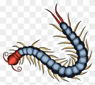 Red Chinese Centipede Clipart