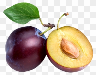 Plum Clipart - Png Download