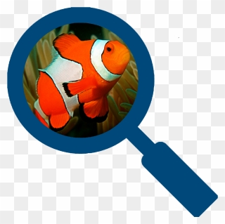 Magnifying Glass Search Button Clipart
