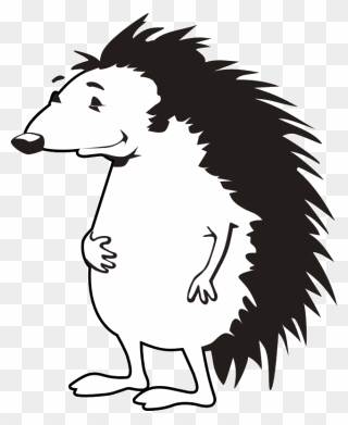 Porcupine Clip Art Free Clipart Library Free Clipart - Png Download