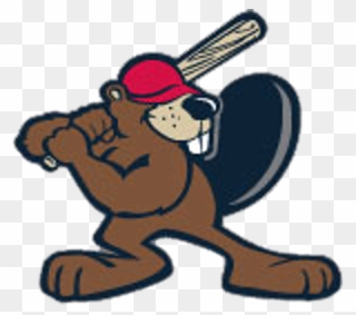 Beaver Baseball Logo Clipart