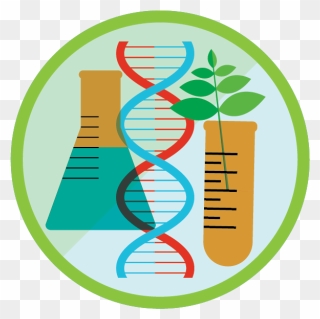 View Challenge Intro To - Genetic Engineer In Biotechnology Clipart