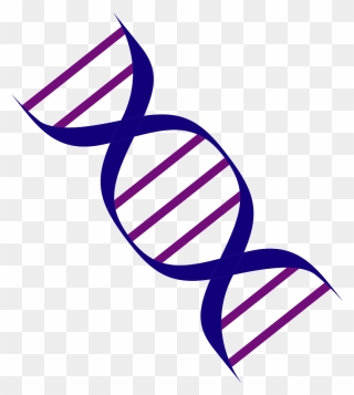 Dna Gene Clipart - 歯 周 病 の リスク ファクター - Png Download