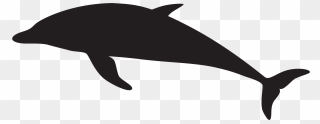 Dolphin Silhouette Png Clipart