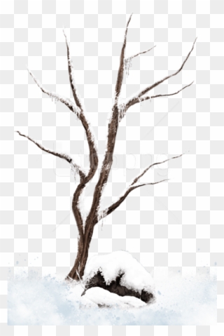 Free Png Download Brown Winter Snowy Treepicture Png - Png Clipart Snowy Tree Branch Png Transparent Png
