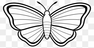 Butterfly Clip Art Black And White Free Clipart - Kids Colouring Pages Butterfly - Png Download