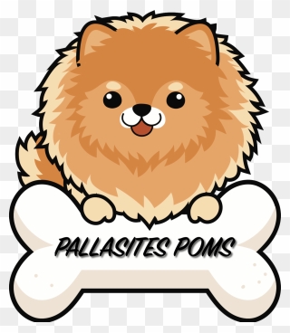 Cute Pom Puppy Cartoon Clipart