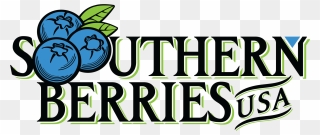 Png Southern Berries Usa Tranp Bckg Size2 - Graphic Design Clipart