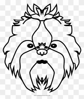 Shih Tzu Coloring Page - Shih Tzu Face Coloring Page Clipart