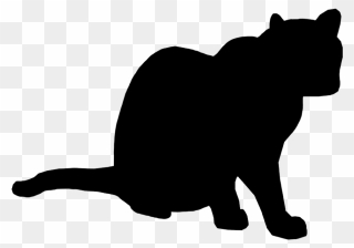 Cats Back Sitting Png - Cat Clipart