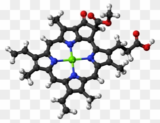 Chlorophyll C2 Molecule* - Stearic Acid Molecule Clipart