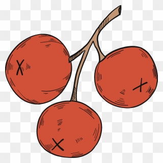 Three Cranberries Clipart - Png Download