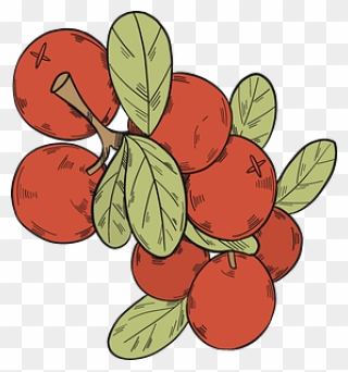 Cranberries Clipart - Png Download