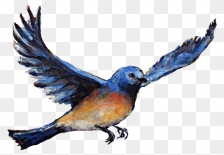 Hd Mountain Bluebird Transparent Png Image Download - Watercolor Bird Png Clipart