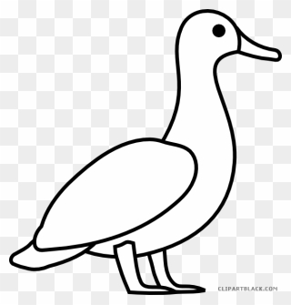 Duck Outline Animal Free Black White Clipart Images - Duck Outline Clipart - Png Download