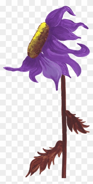 Purple Sunflower Studio - Illustration Clipart