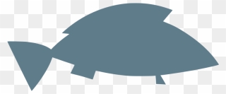 Clip Art - Png Download