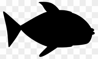 Transparent Clipart - Png Download