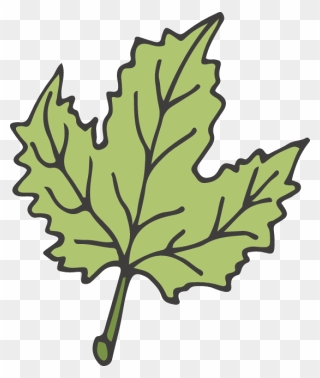 Clip Art - Png Download