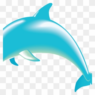 Transparent Background Jumping Dolphin Clip Art Transparent - Png Download