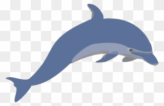 Dolphin 3 Png Clip Art - Dauphin Clipart Transparent Png