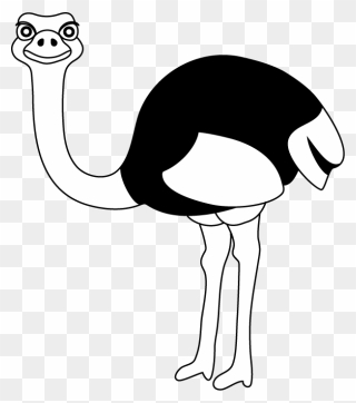 Head Clipart Emu - Ostrich Black And White Clip Art - Png Download