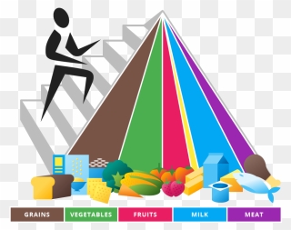 Old New Old Food Pyramid Clipart