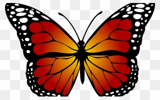 Metamorphosis And Transformation - Butterflies Black And White Clipart