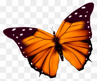 Cartoon Butterfly With Transparent Background Clipart